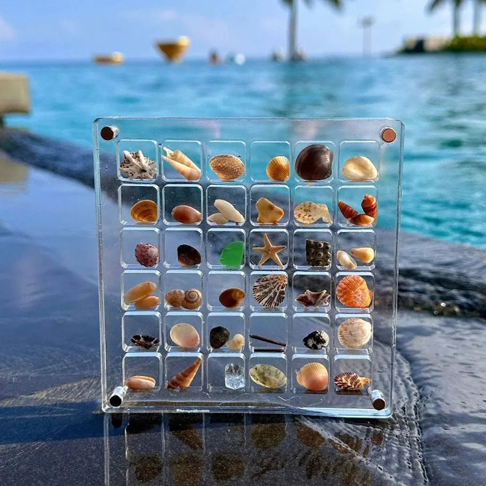 Acrylic Magnetic Seashell Display Box