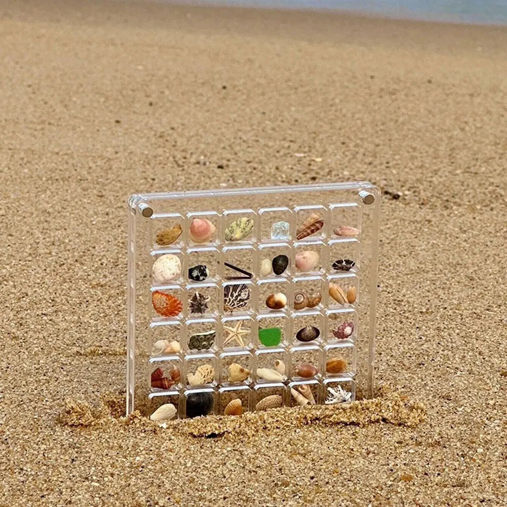 Acrylic Magnetic Seashell Display Box